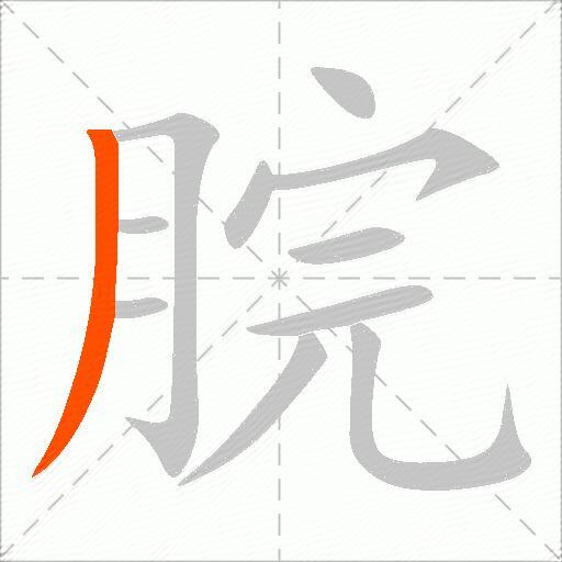 脘