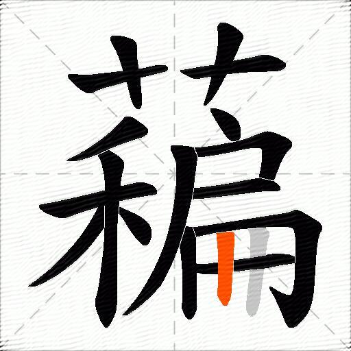 藊