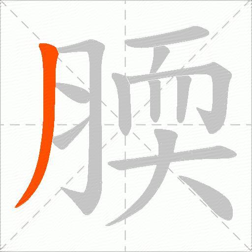 腝