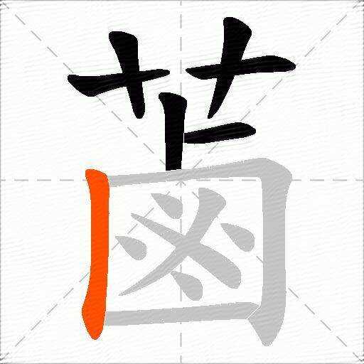 蓾