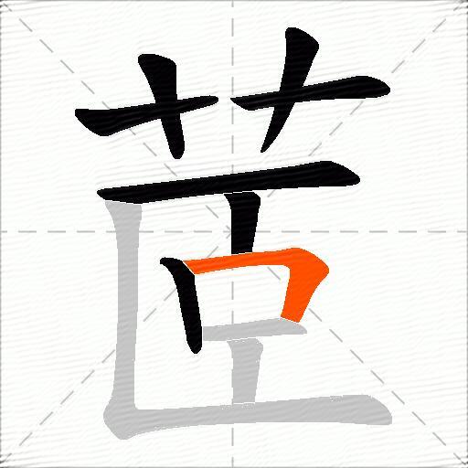 茝