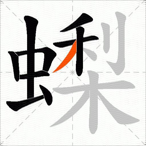 蟍