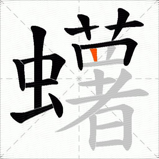 蠴