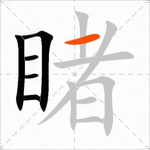 睹