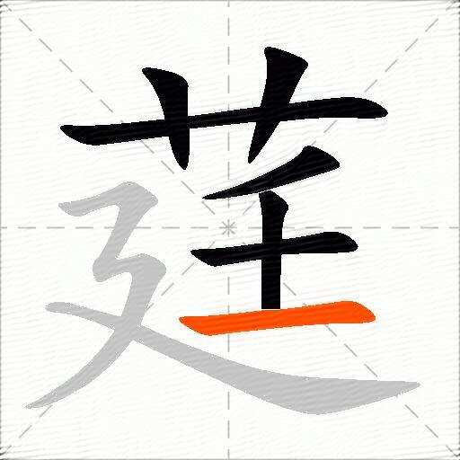 莛