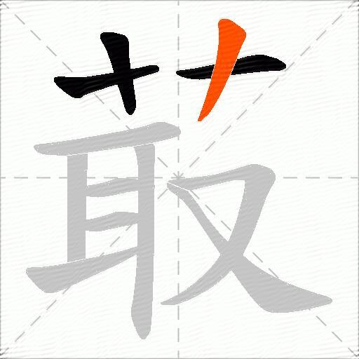 菆