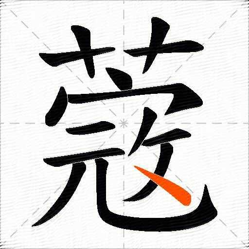 蔲