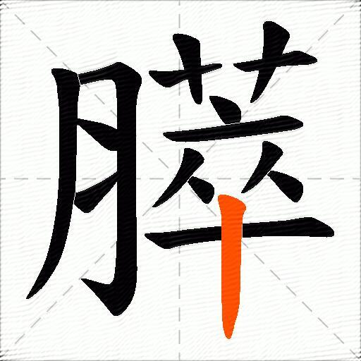 膵