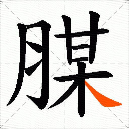 腜