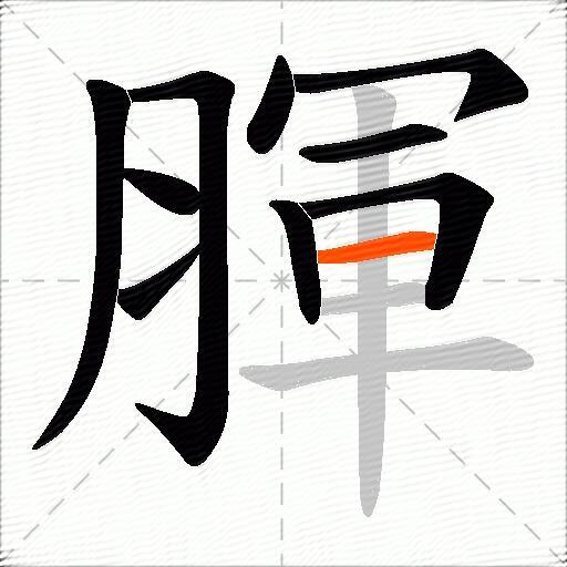 腪
