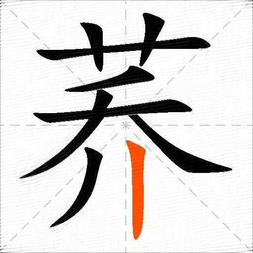 荞