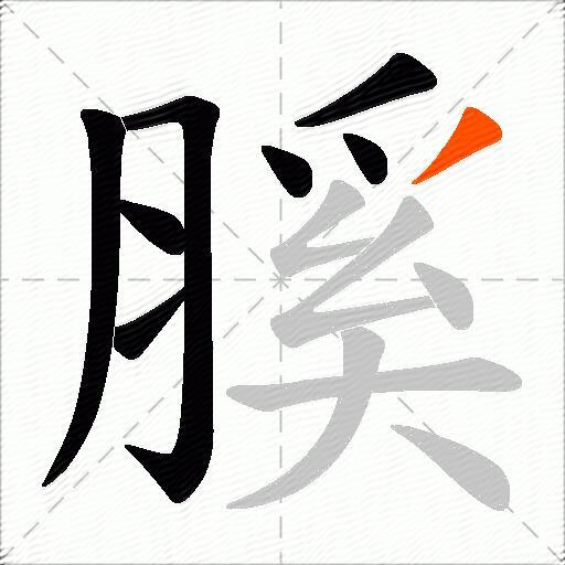 膎