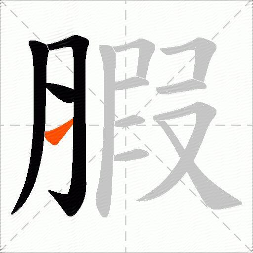 腵