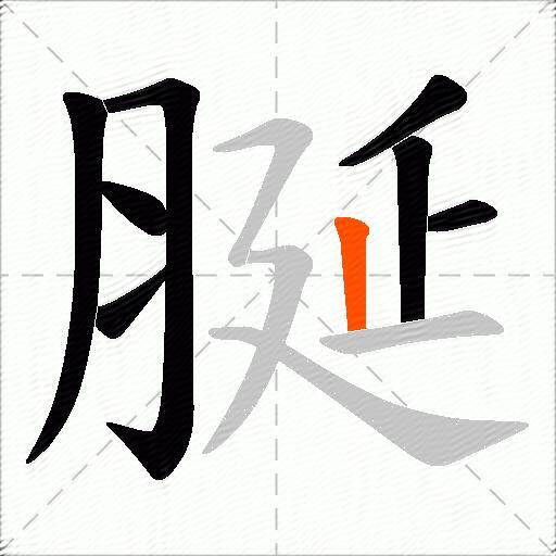 脠
