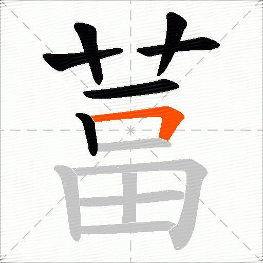 葍