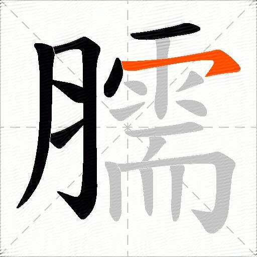 臑