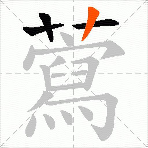 藛