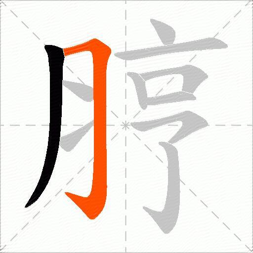脝