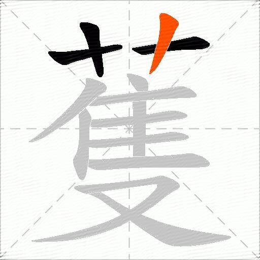 蒦