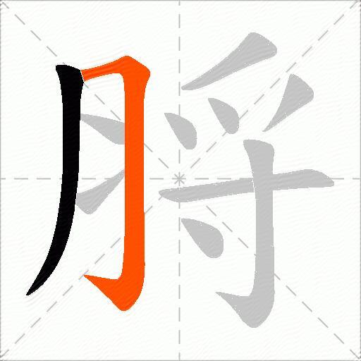 脟