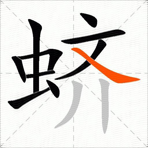 蛴