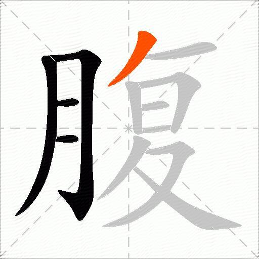 腹