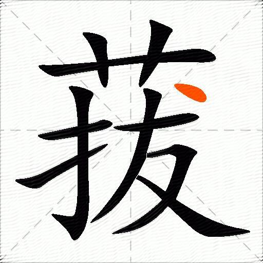 菝