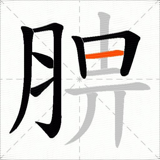 腗
