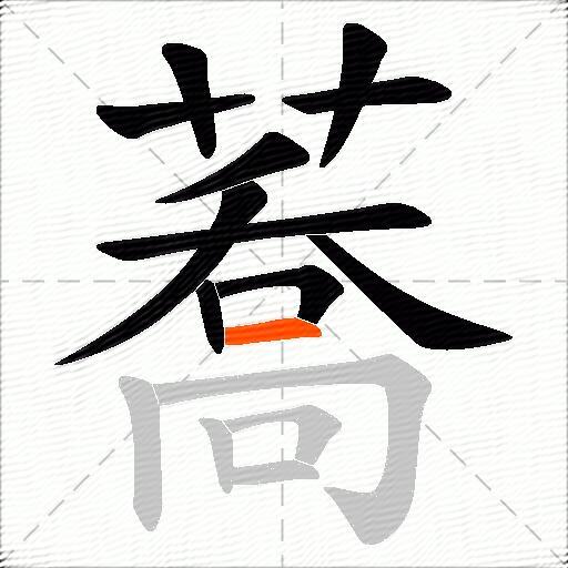 蕎