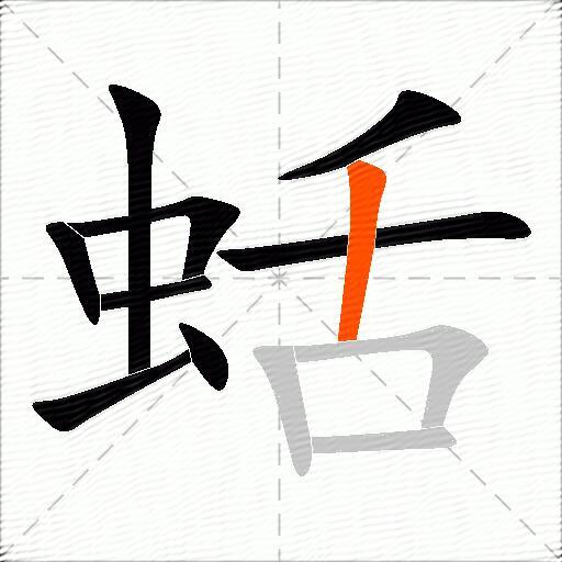 蛞