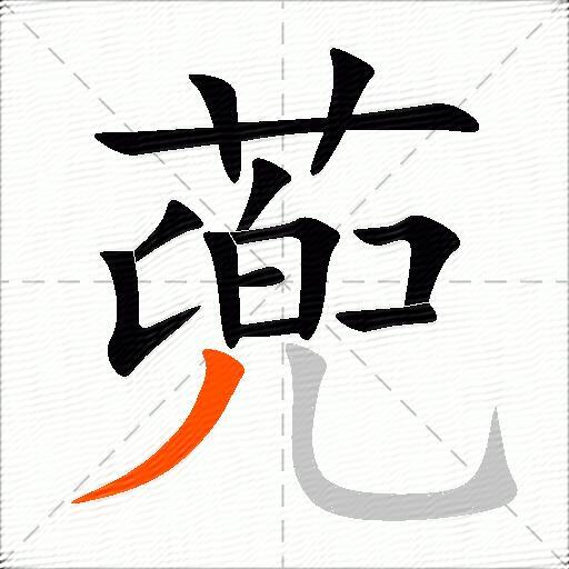 蔸