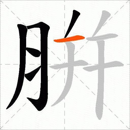 腁