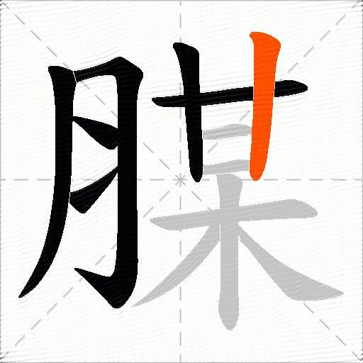腜