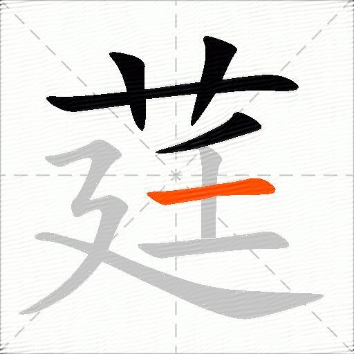 莛