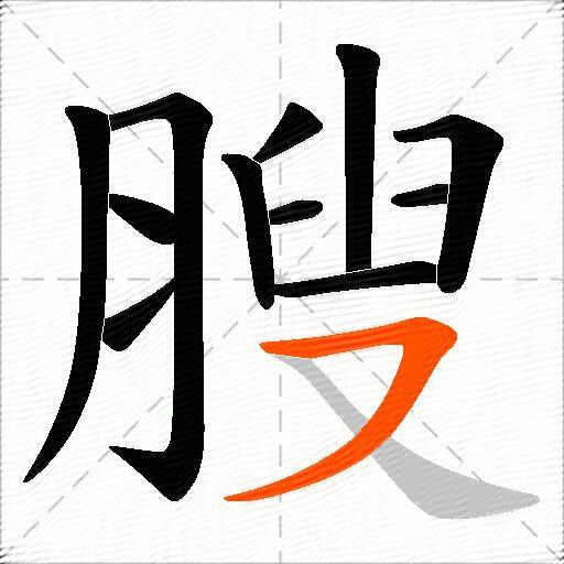 膄