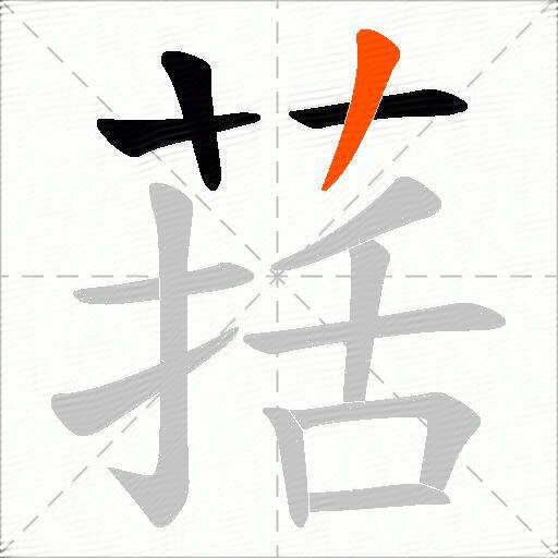 葀