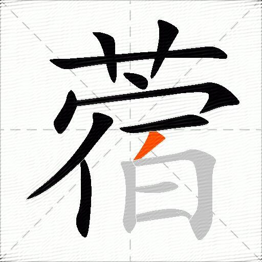 蓿