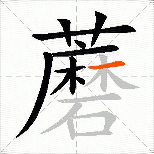 蘑