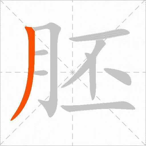 胚