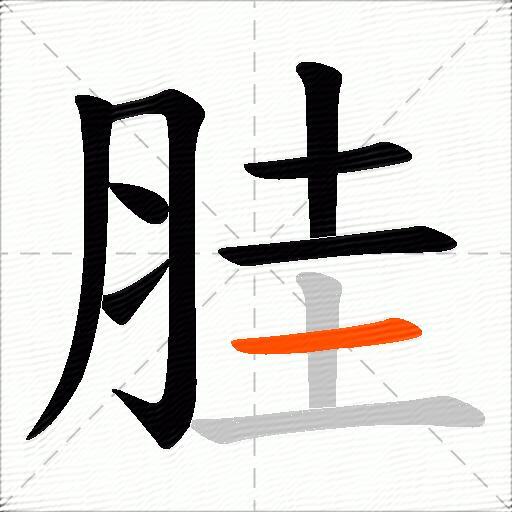 胿