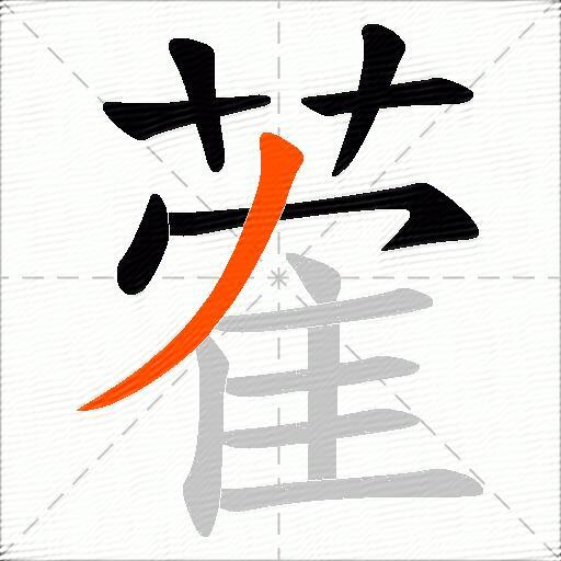 蒮