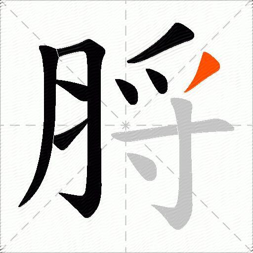 脟