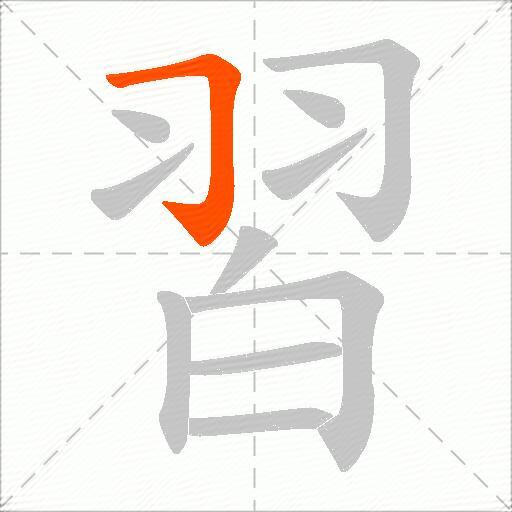 習