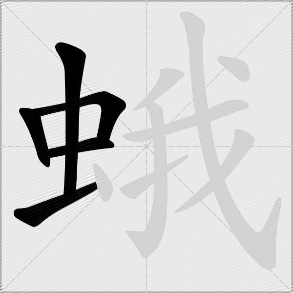 蛾