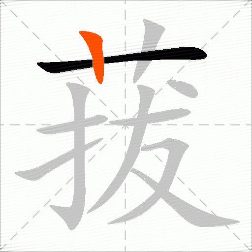 菝