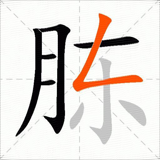 胨