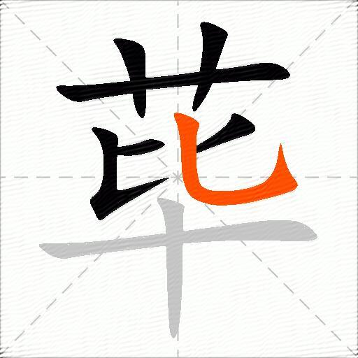 荜
