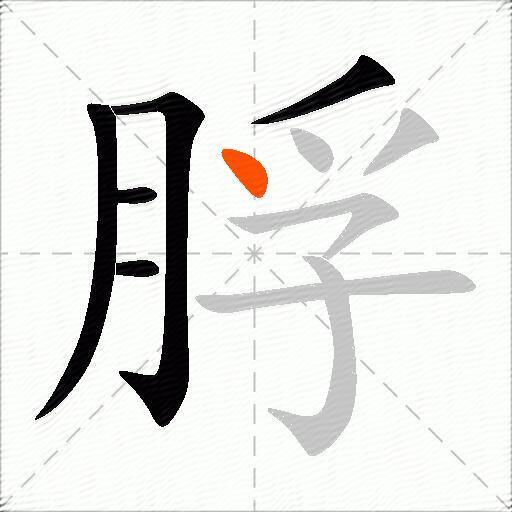 脬