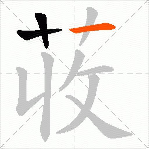 荍