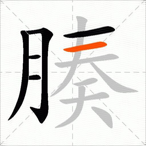 腠